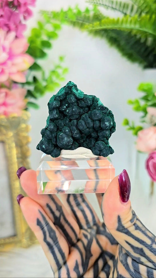 Botryoidal Malachite on Base 01
