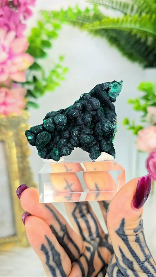 Botryoidal Malachite on Base 02