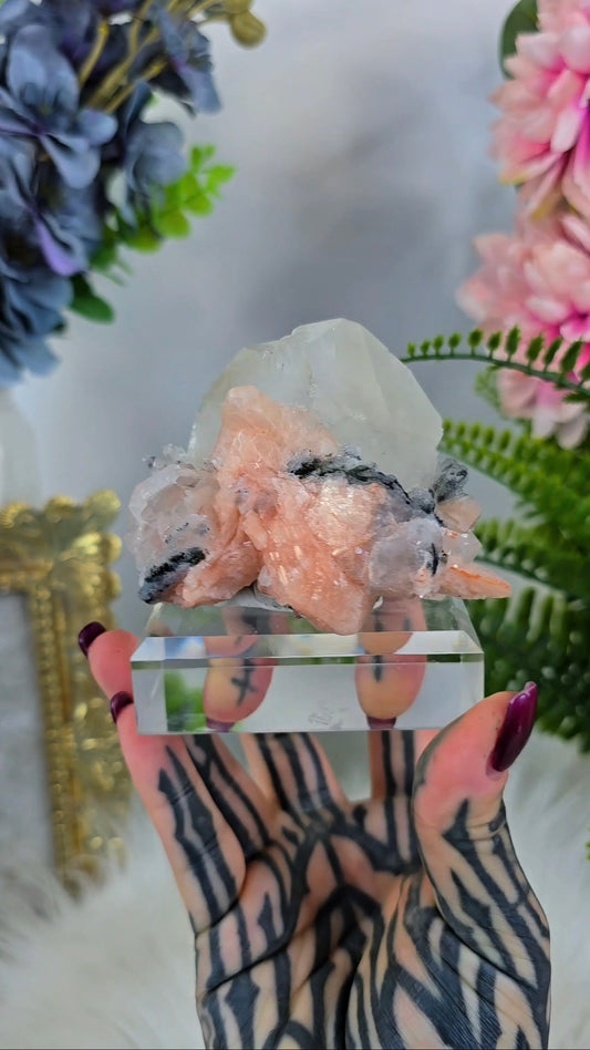 Chalcedony with Apophyllite and Stilbite 01