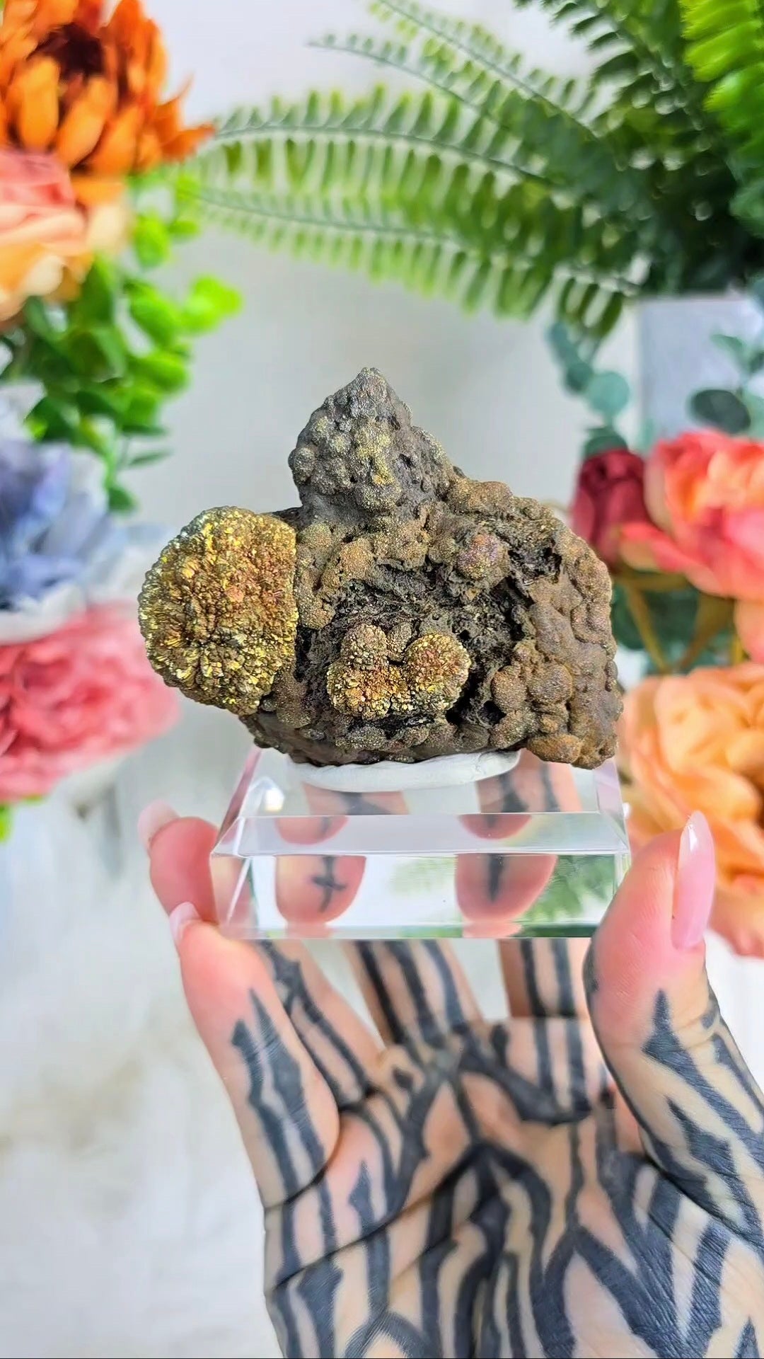 Pyrite on Limonite 01