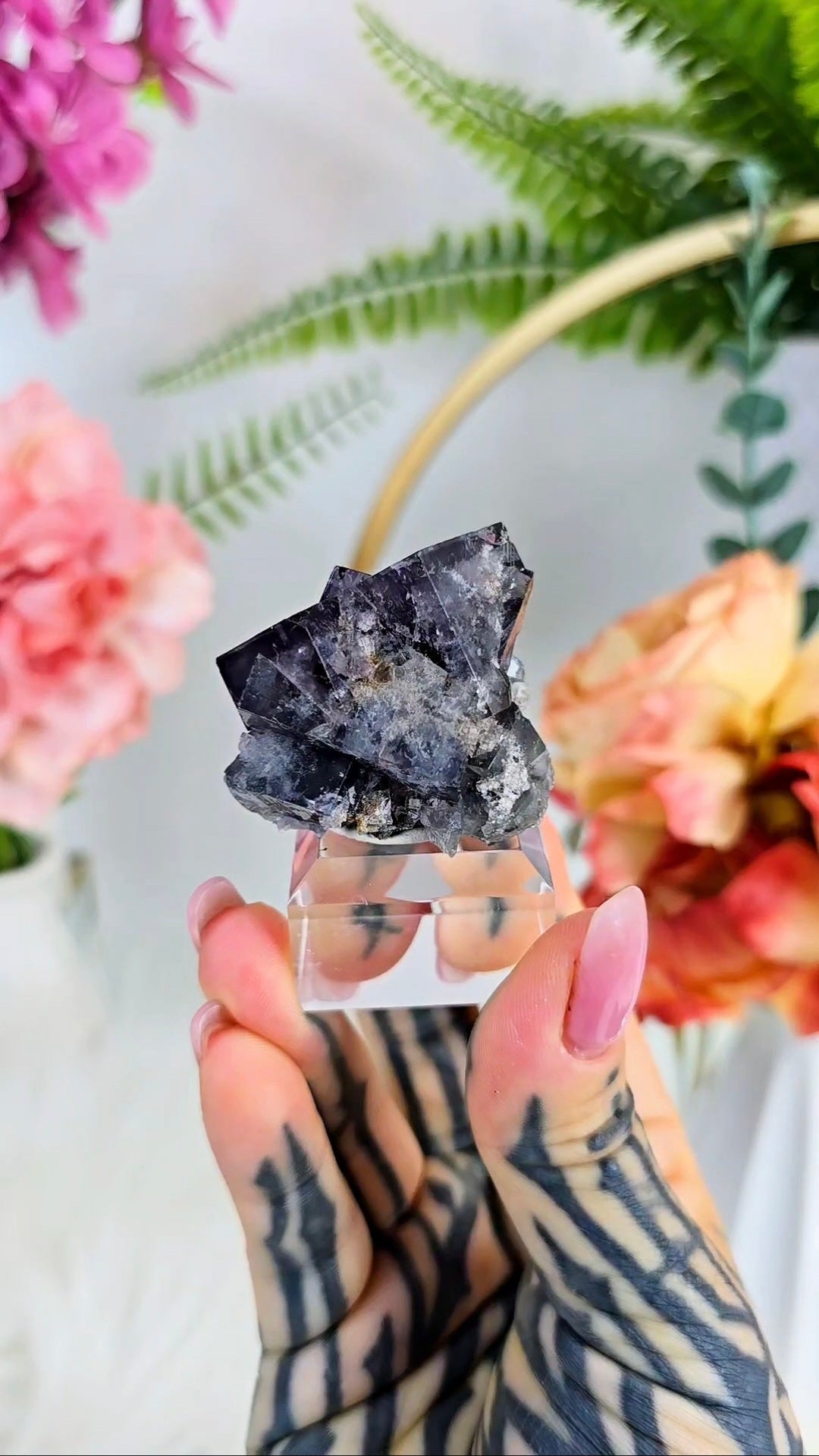 Daylight UV reactive Fluorite / Purple Rain Pocket