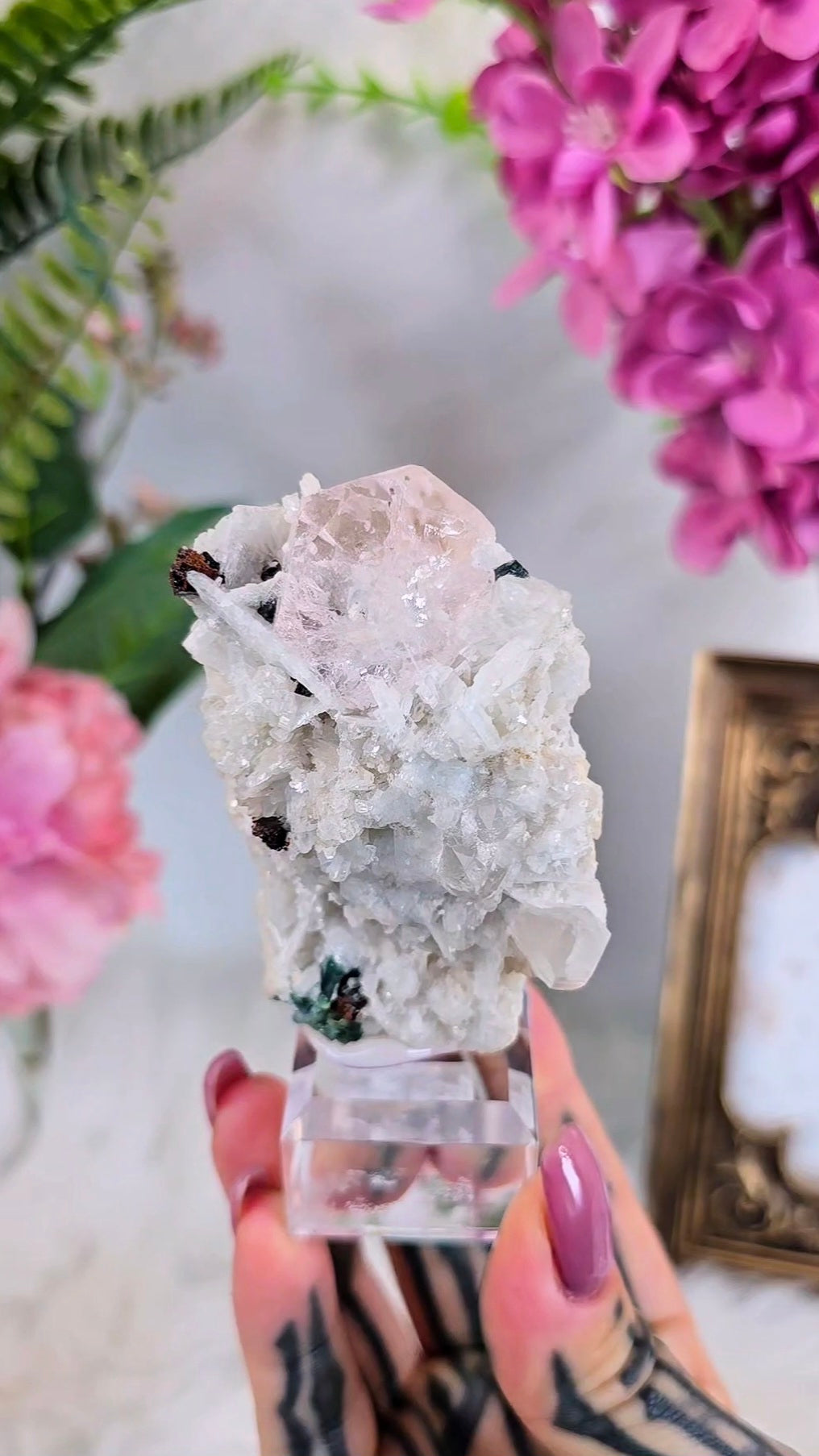 Morganite on Albite with Tourmaline and Garnet