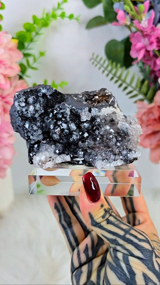 Black Manganite with Quartz Specimen 03