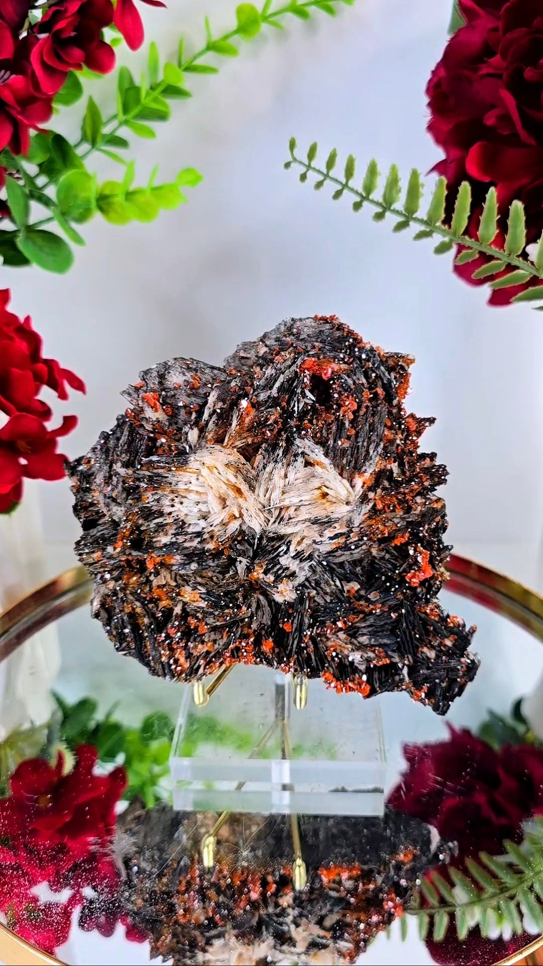 Vanadinite on black Baryte