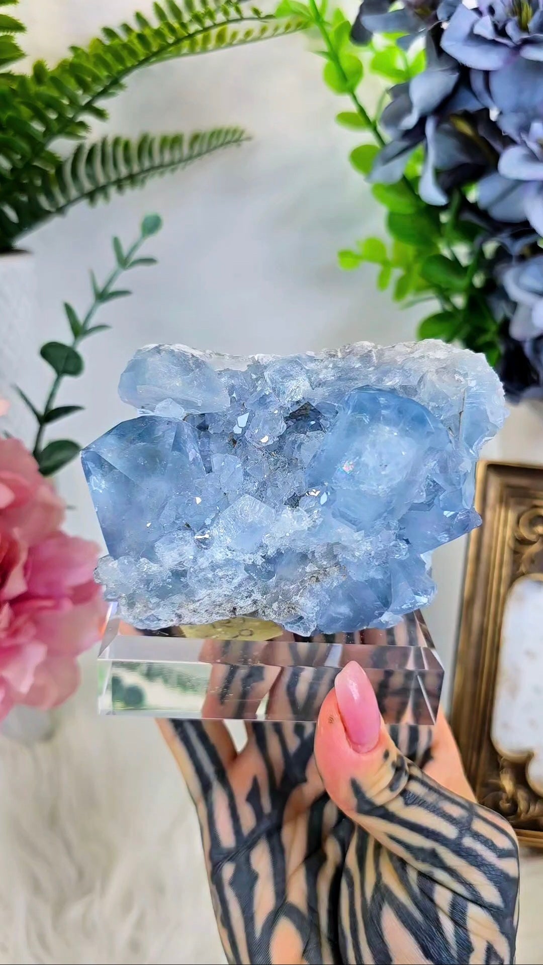 Celestial Specimen on Base