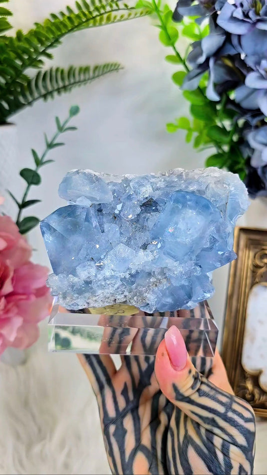 Celestial Specimen on Base
