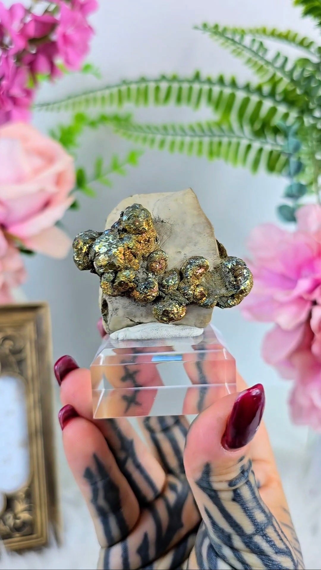 Pyrite on Limonite 06