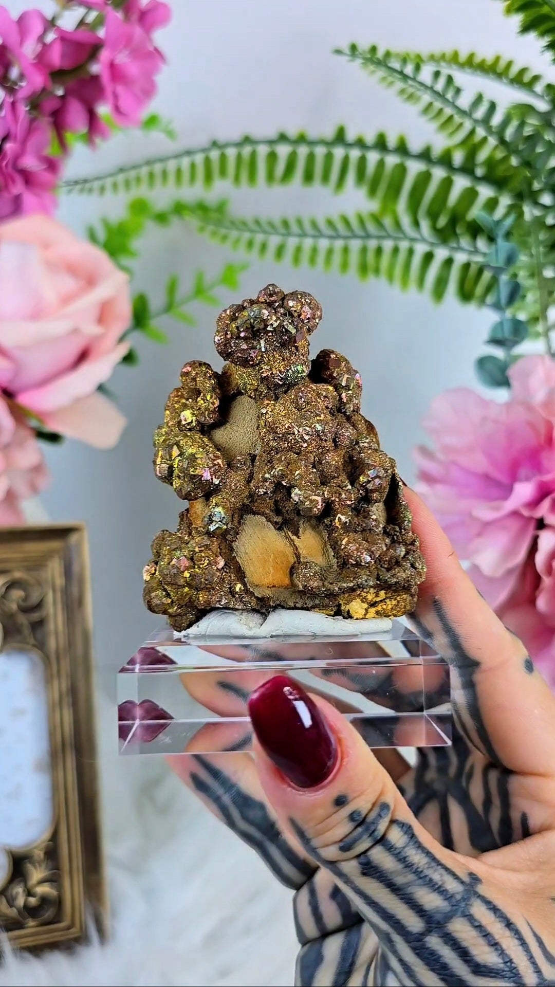 Pyrite on Limonite 07