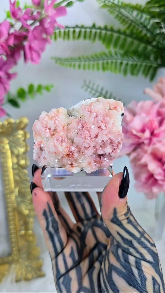 Pink Heulandite 08