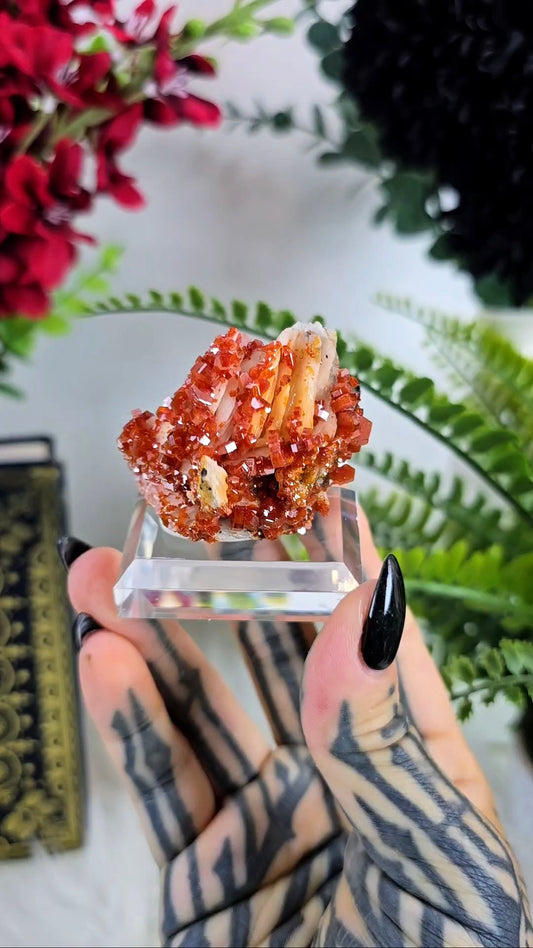 Vanadinite on Baryte Mineral Specimen 02