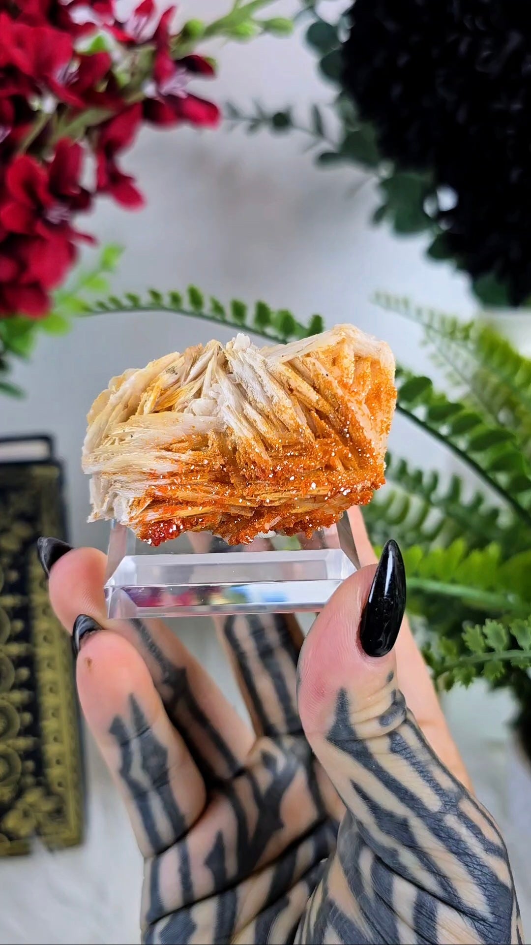 Vanadinite on Baryte Mineral Specimen 03