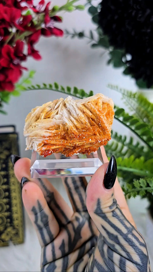 Vanadinite on Baryte Mineral Specimen 03