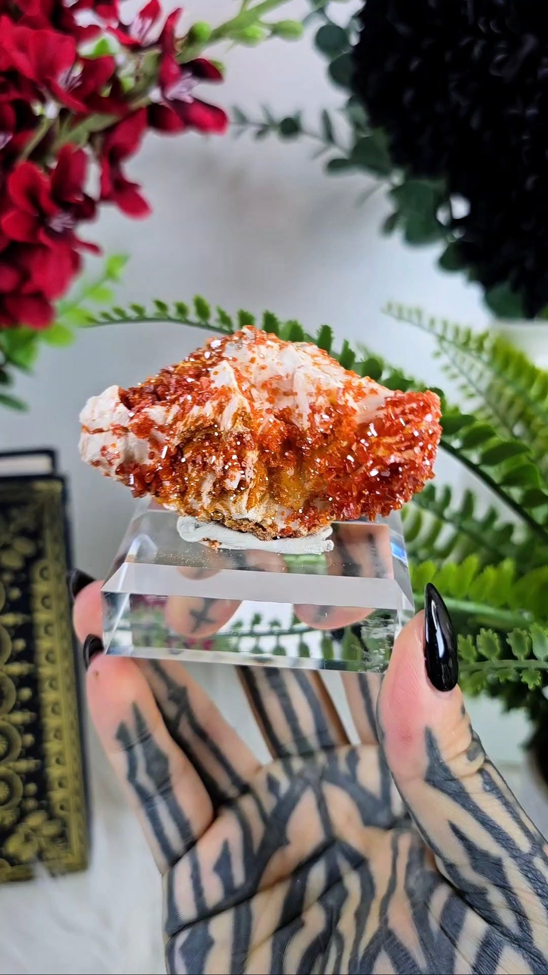 Vanadinite on Baryte Mineral Specimen 04