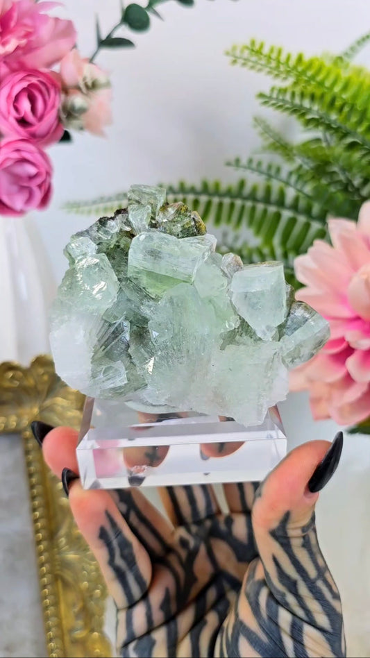 Green Apophyllite with Scolecite 04