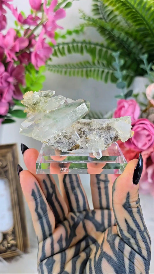 Chlorite Quartz on Stand 02