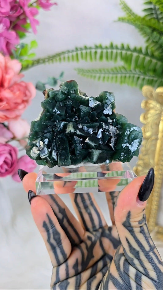 Celadonite included Apophyllite with Stilbite 07