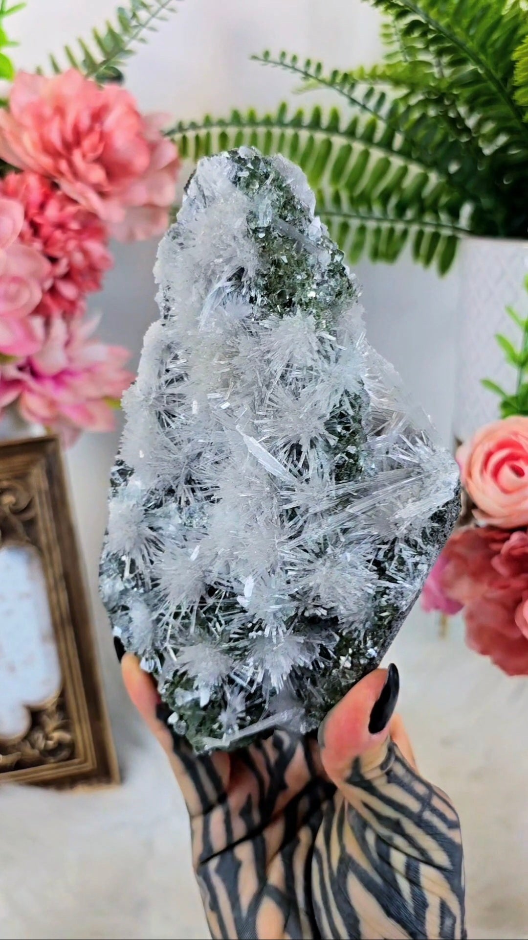 Green Apophyllite with Scolecite on stand 19