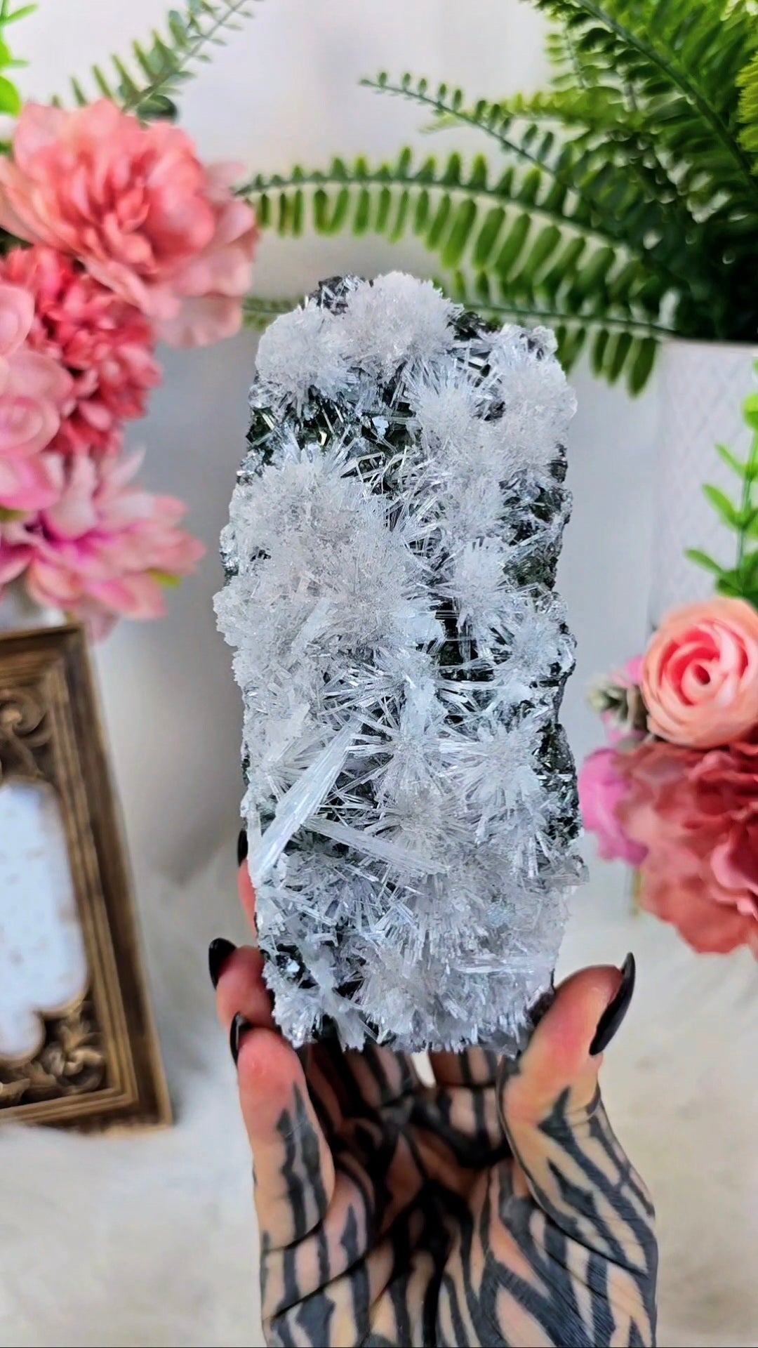 Green Apophyllite with Scolecite (freestanding) 18