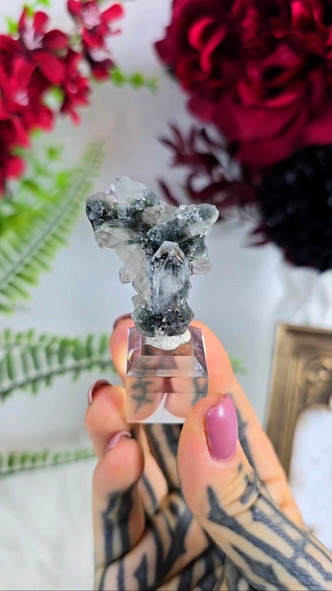 Sparkly Black Chalcedony with Apophyllite on Base