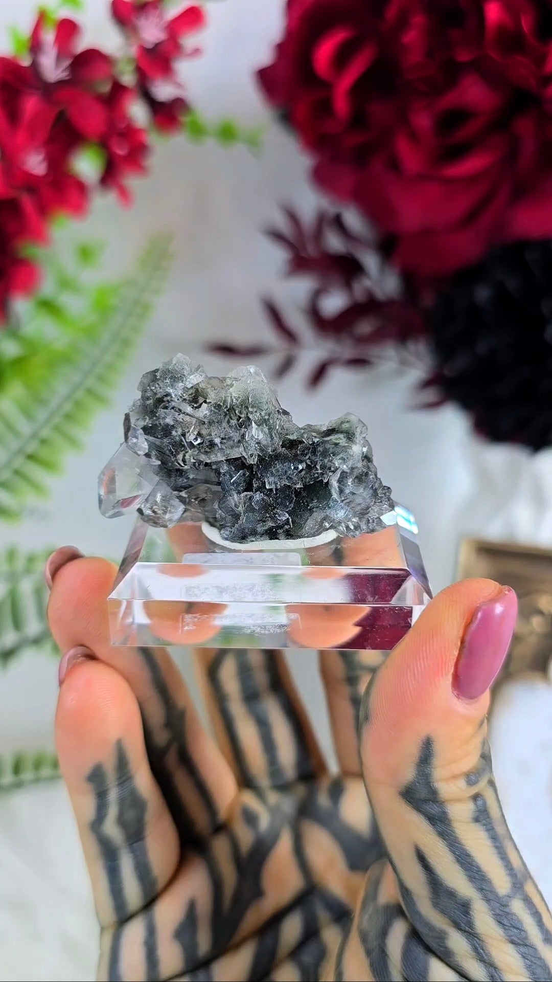 Sparkly Black Chalcedony with Apophyllite on Base 02