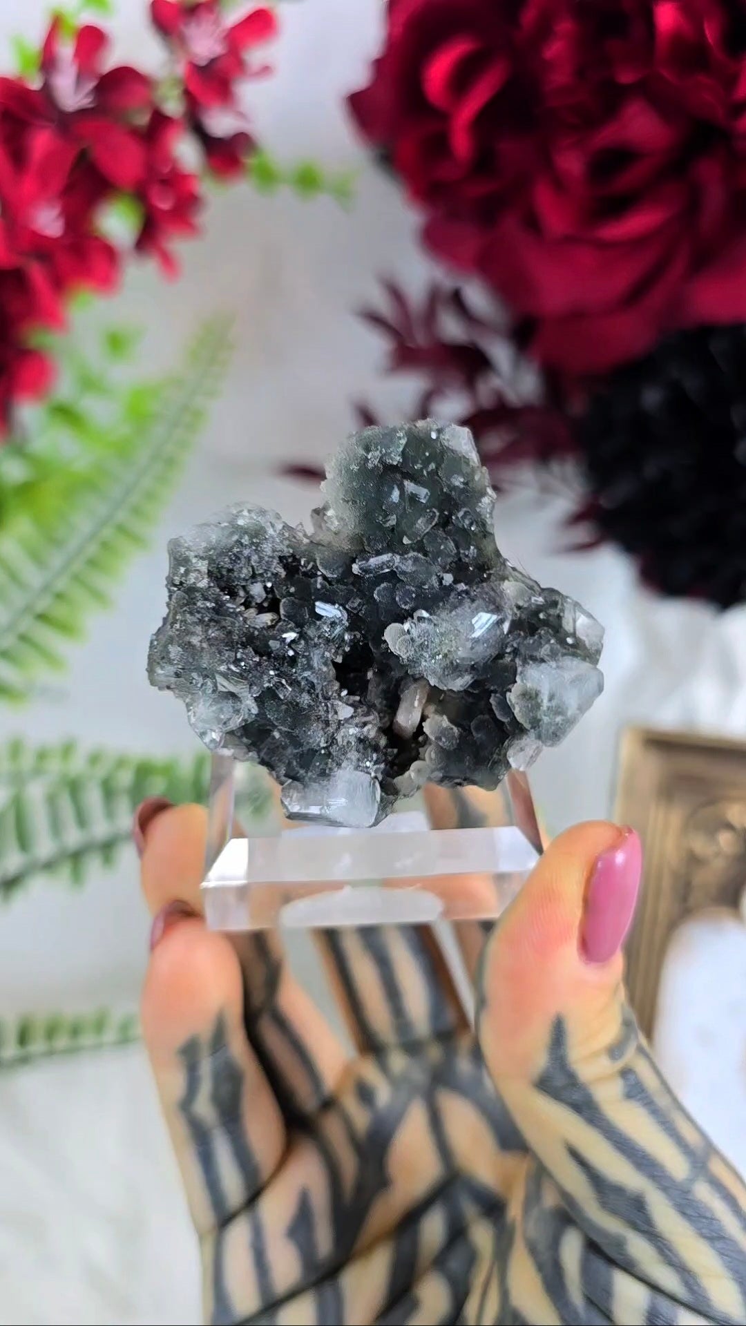 Sparkly Black Chalcedony with Apophyllite on Base 03