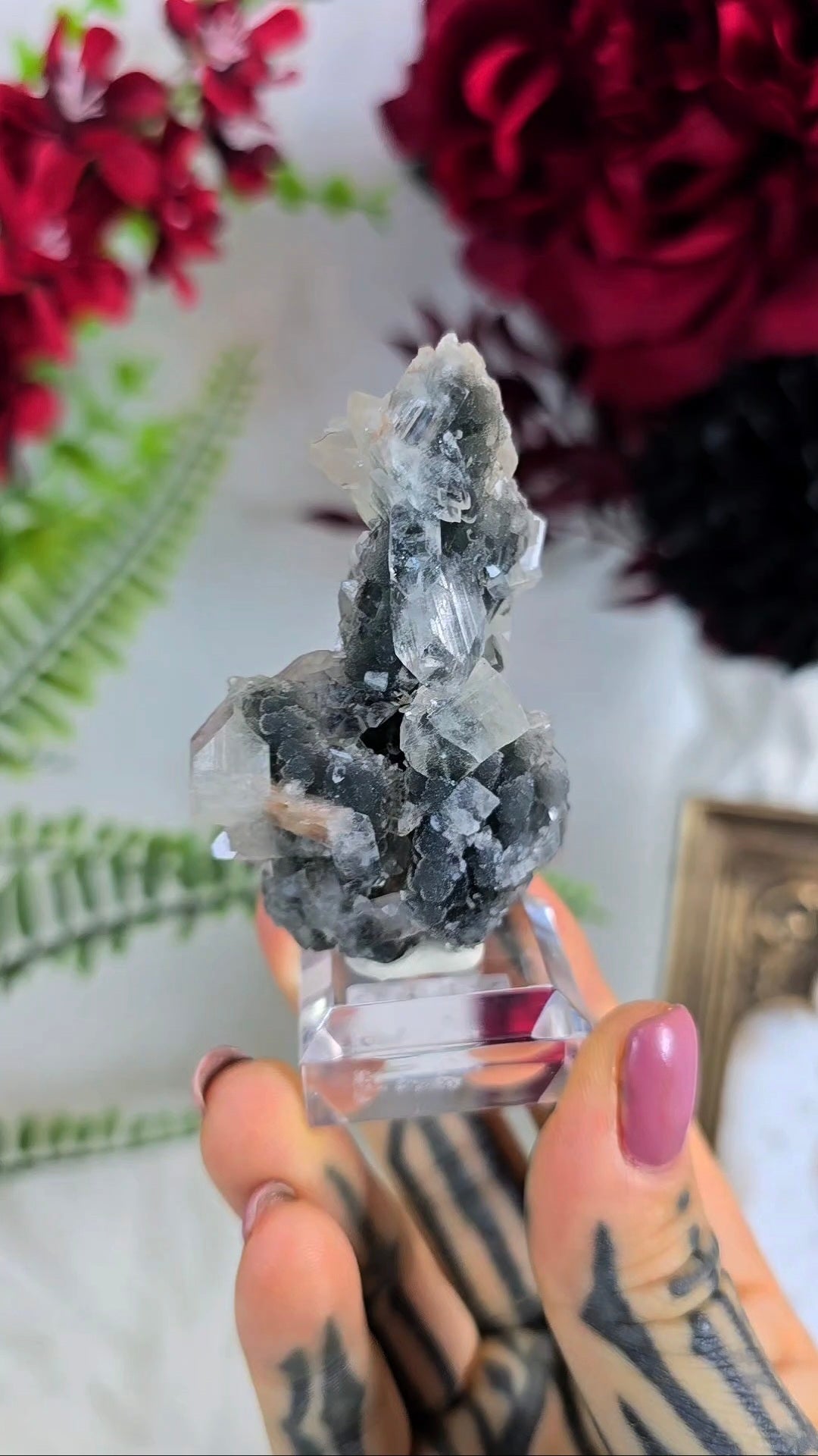 Sparkly Black Chalcedony with Apophyllite on Base 04