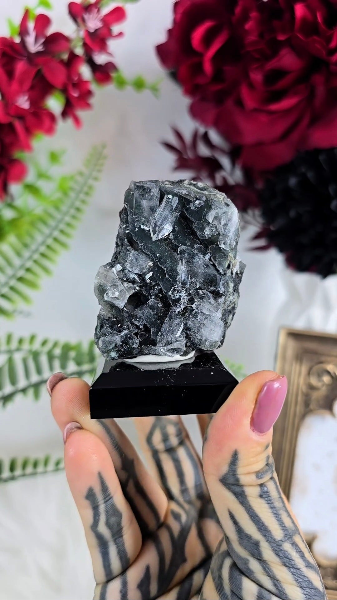 Sparkly Black Chalcedony with Apophyllite on Base 06