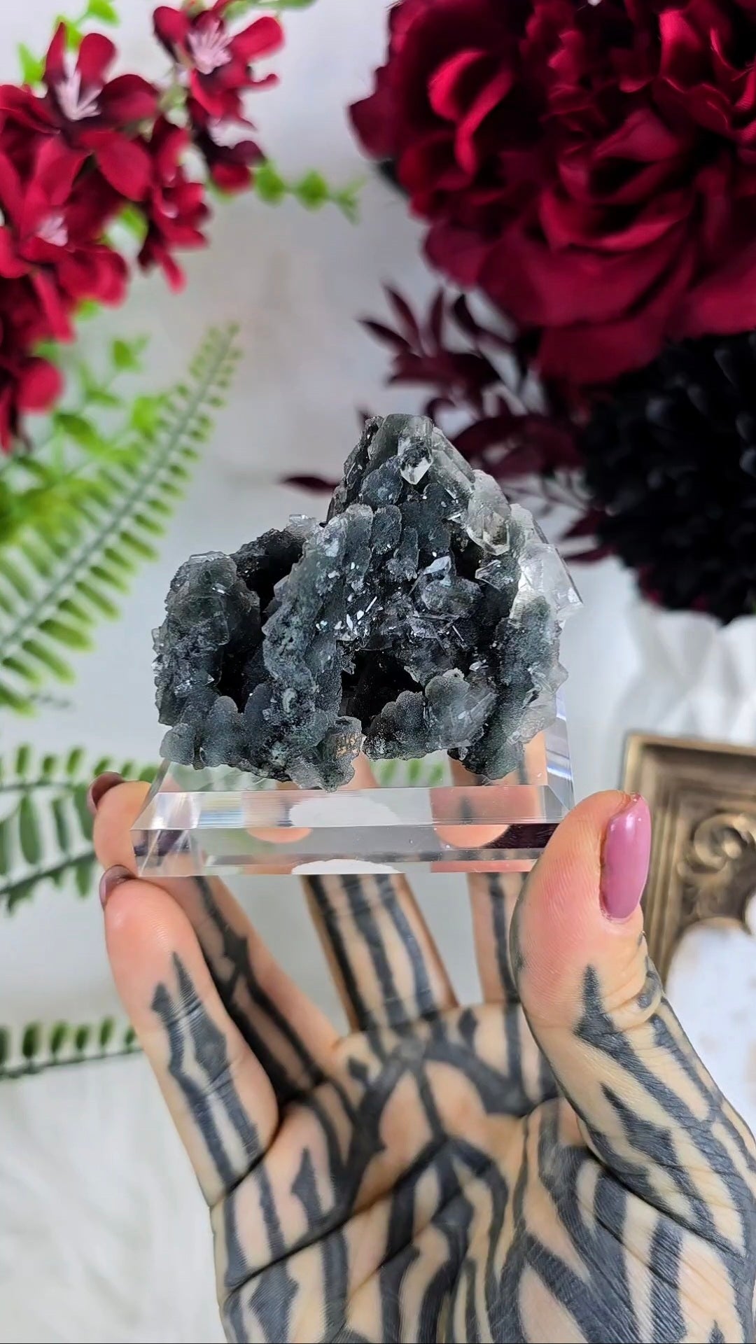 Sparkly Black Chalcedony with Apophyllite on Base 07