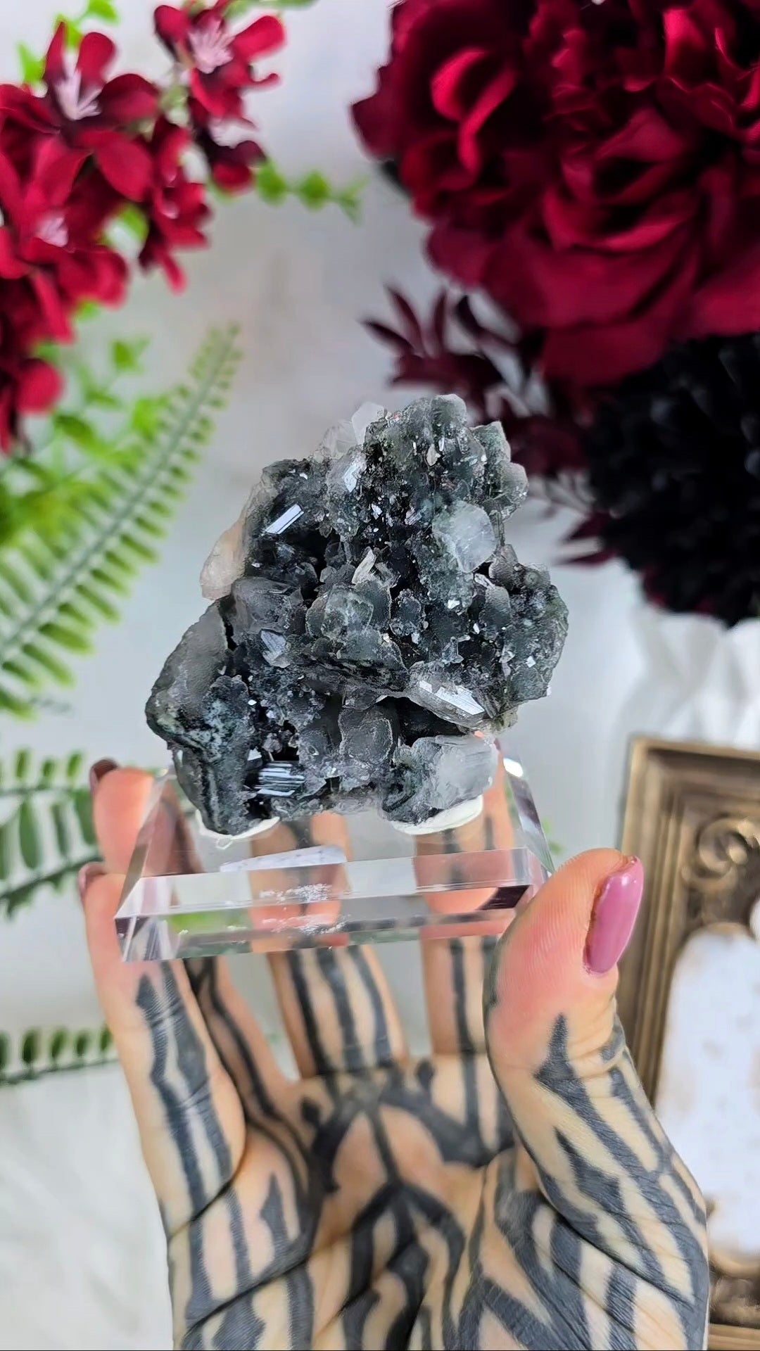 Sparkly Black Chalcedony with Apophyllite on Base 08