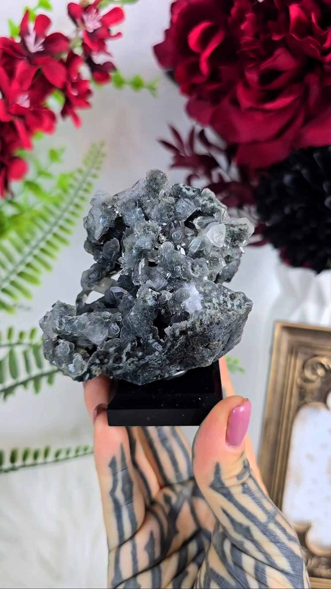 Sparkly Black Chalcedony with Apophyllite on Base 09
