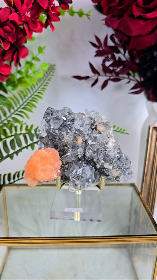 Sparkly Black Chalcedony with Apophyllite on Stand 11