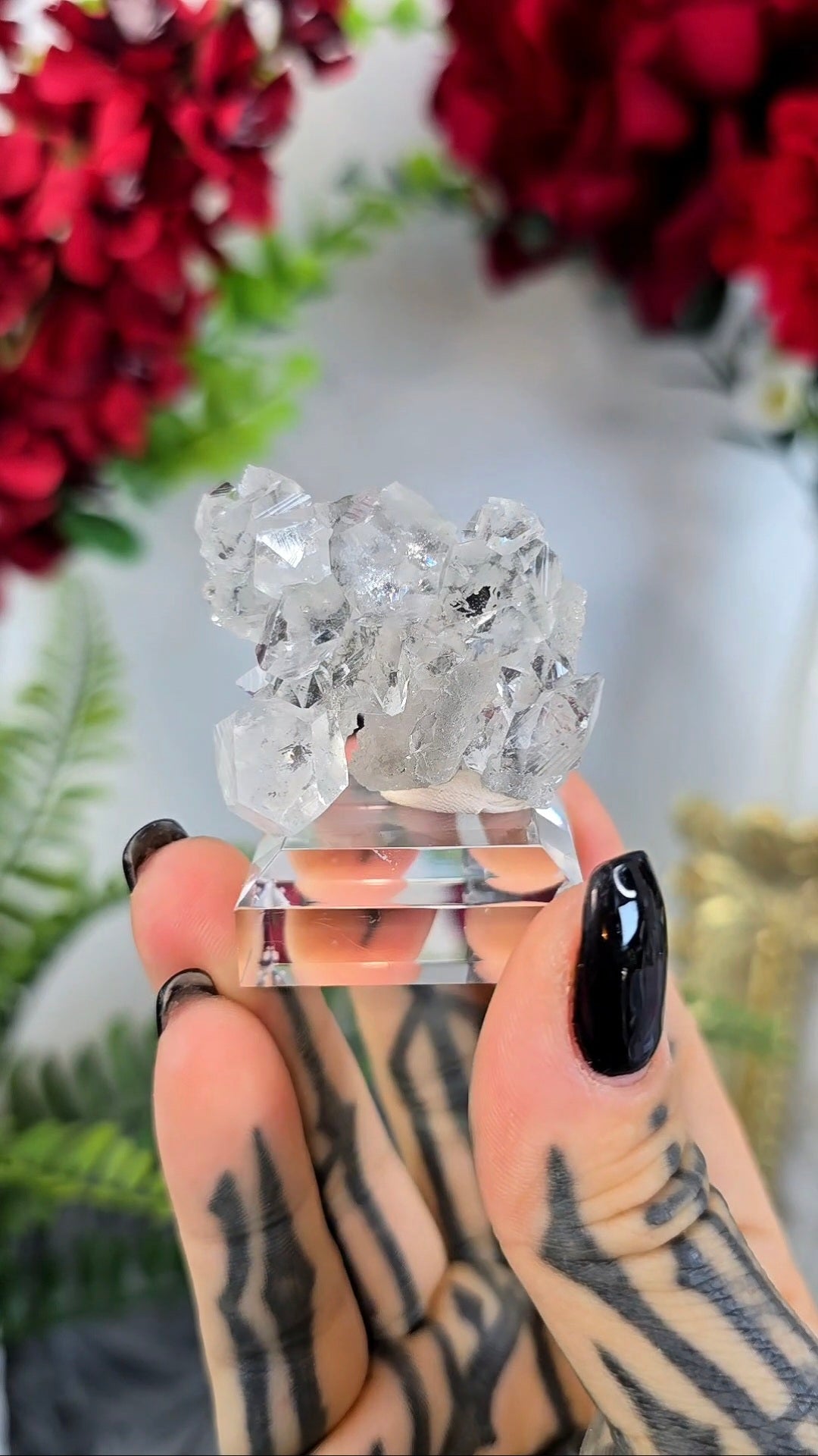 Sparkly Chalcedony with Apophyllite on Base 15