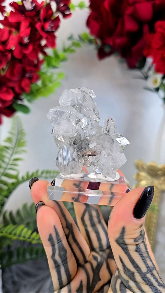 Sparkly Chalcedony with Apophyllite on Base 17
