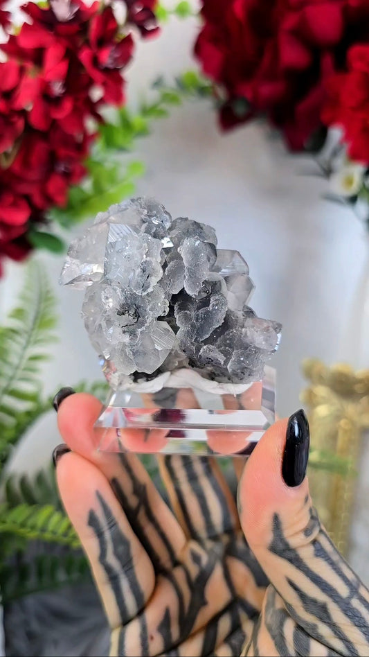 Sparkly Chalcedony with Apophyllite on Base 18