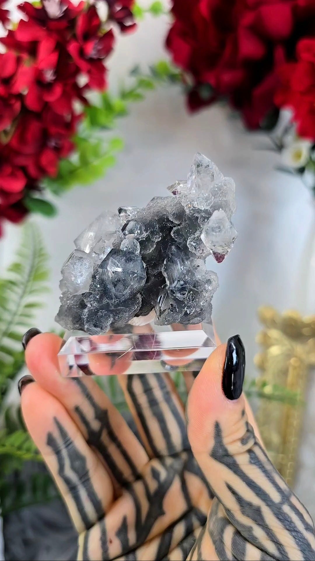 Sparkly Chalcedony with Apophyllite on Base 19