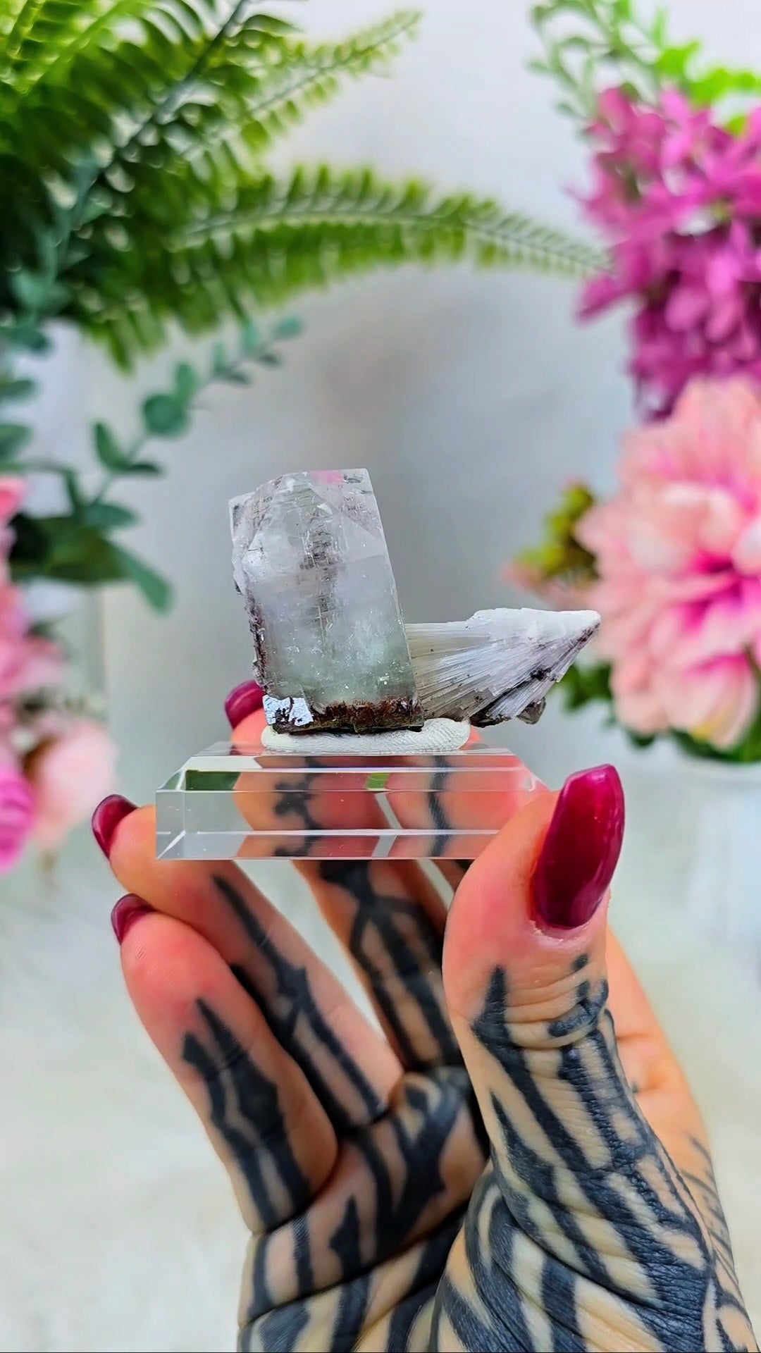 Glassy Apophyllite with Scolecite & Hematite inclusions on Base 02