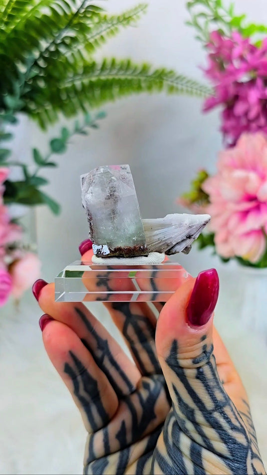 Glassy Apophyllite with Scolecite & Hematite inclusions on Base 02