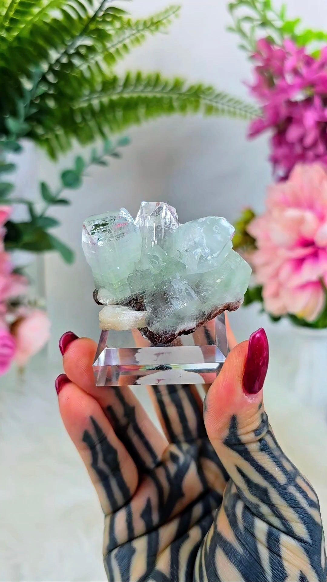 Glassy Apophyllite with Scolecite & Hematite inclusions on Base 04