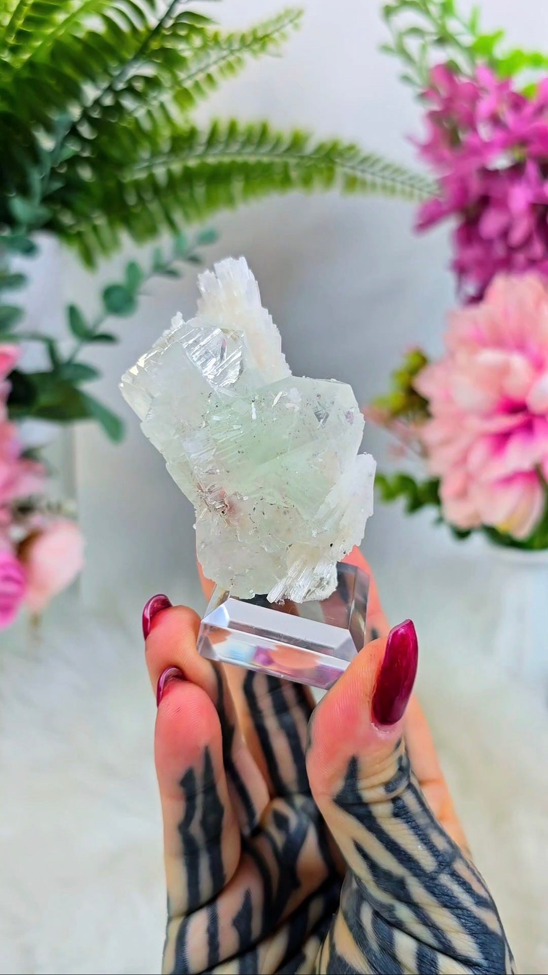Glassy Apophyllite with Scolecite & Hematite inclusions on Base 05