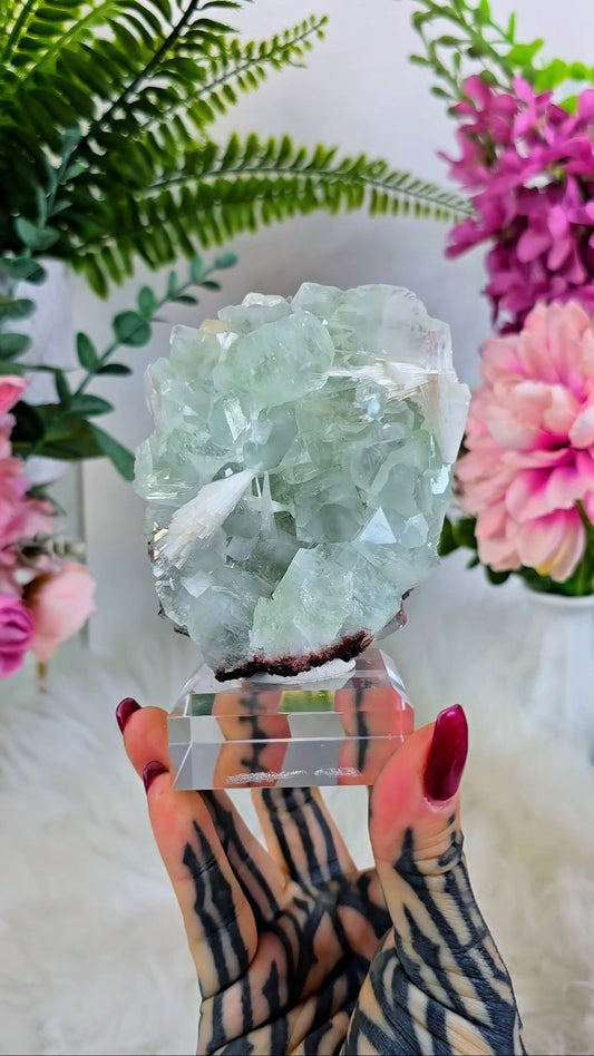 Glassy Apophyllite with Scolecite & Hematite inclusions on Base 06