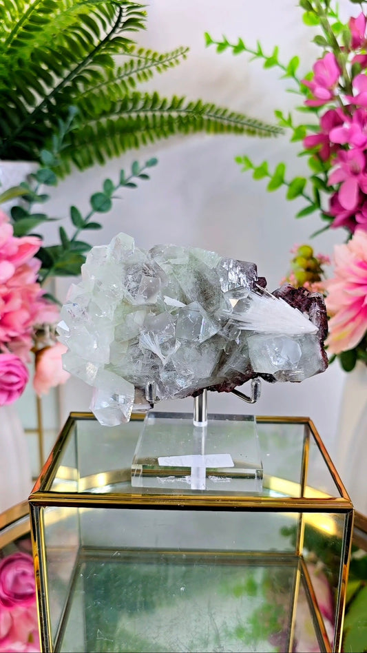 Glassy Apophyllite with Scolecite & Hematite inclusions on Base 08