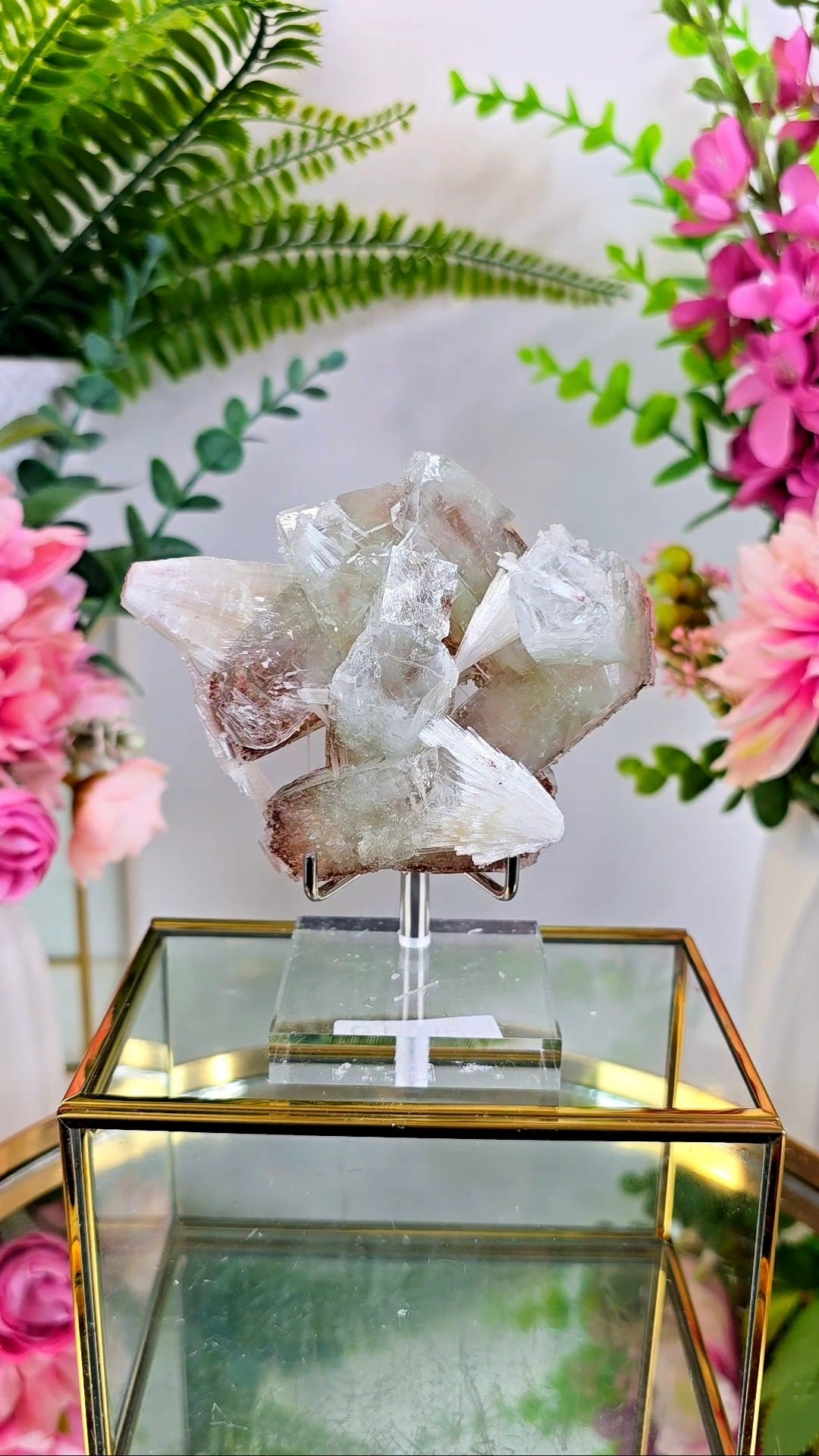 Glassy Apophyllite with Scolecite & Hematite inclusions on Base 07
