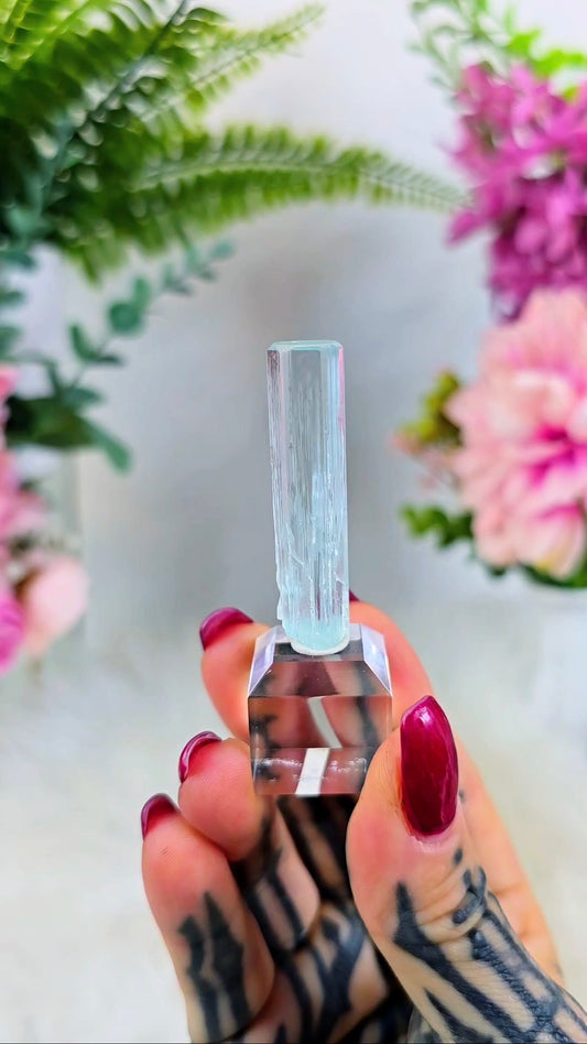 High Quality Aquamarine Beryll Specimen on Base #62