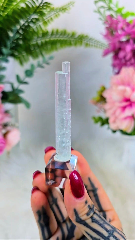 High Quality Aquamarine Beryll Specimen on Base #61